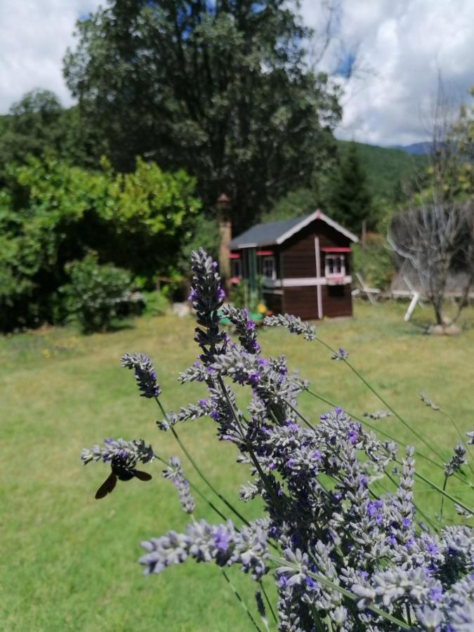Hotel Rural El Marquesito Antigua Casa Carmela Arenas de San Pedro Zewnętrze zdjęcie